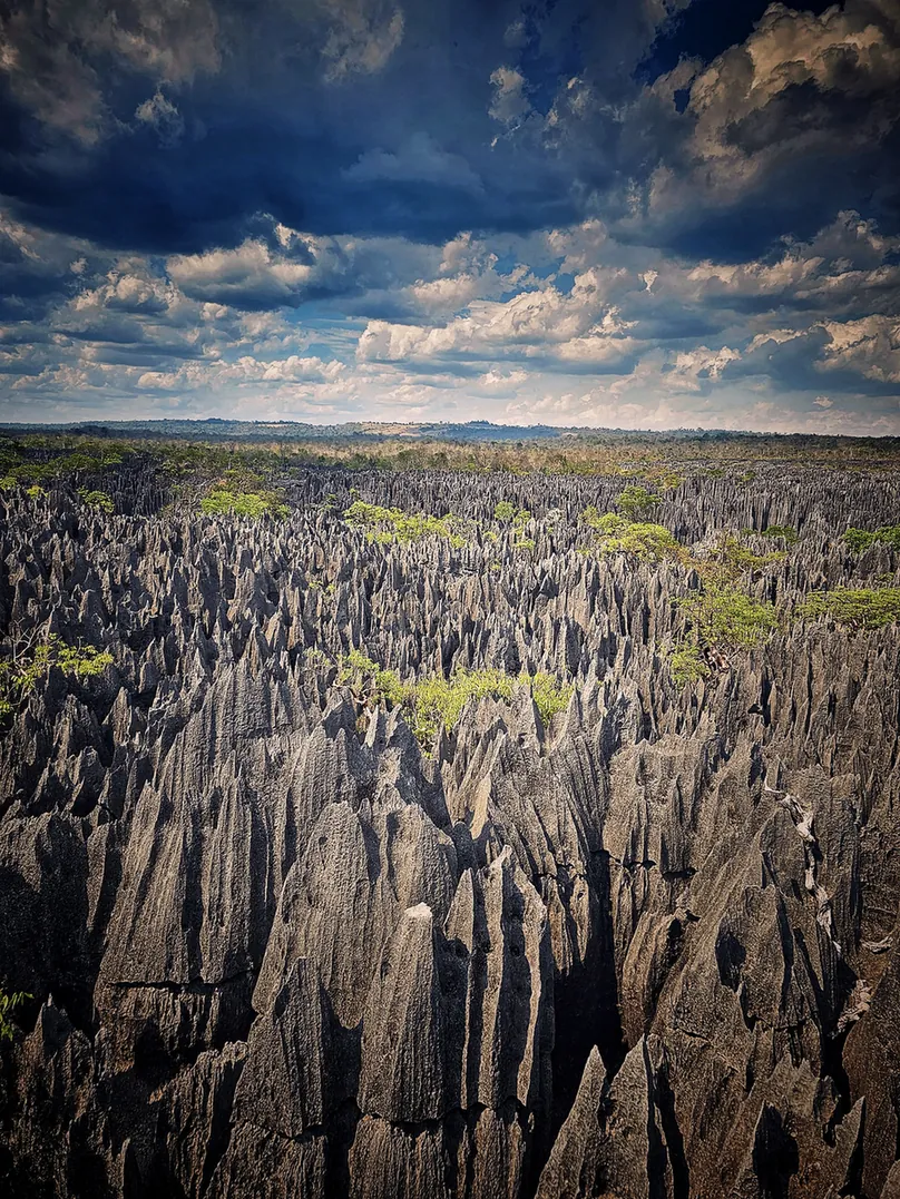 Gęste ostre wapienne skały, pomiędzy nimi zielona roślinność.